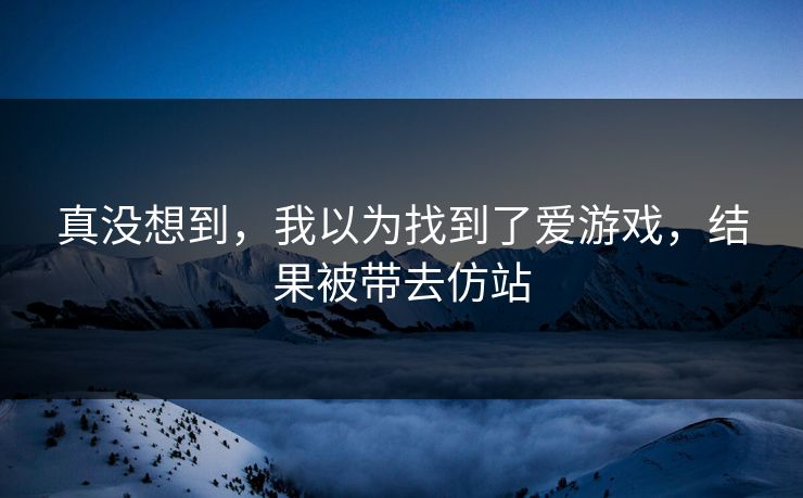真没想到，我以为找到了爱游戏，结果被带去仿站