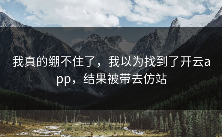 我真的绷不住了，我以为找到了开云app，结果被带去仿站