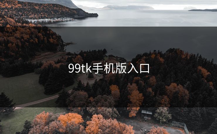 99tk手机版入口
