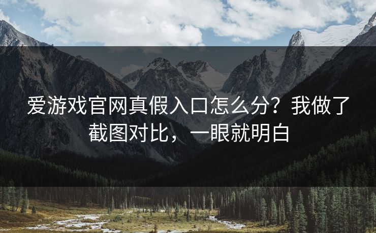 爱游戏官网真假入口怎么分？我做了截图对比，一眼就明白