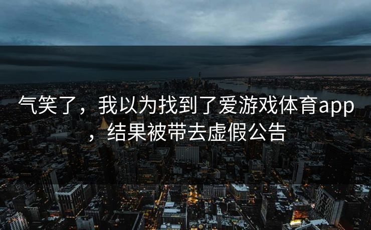 气笑了，我以为找到了爱游戏体育app，结果被带去虚假公告