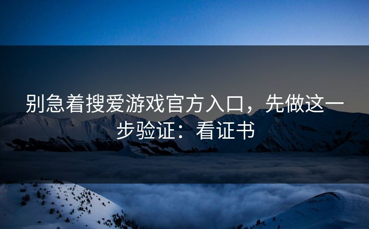 别急着搜爱游戏官方入口，先做这一步验证：看证书